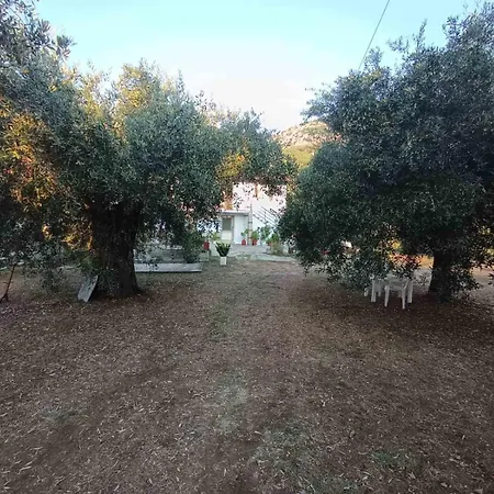 Zoe * Limenas (Thasos)